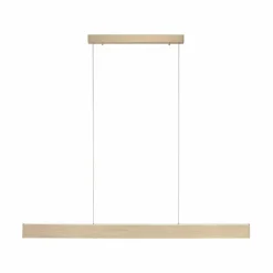 LED-Pendelleuchte Pure-Motion