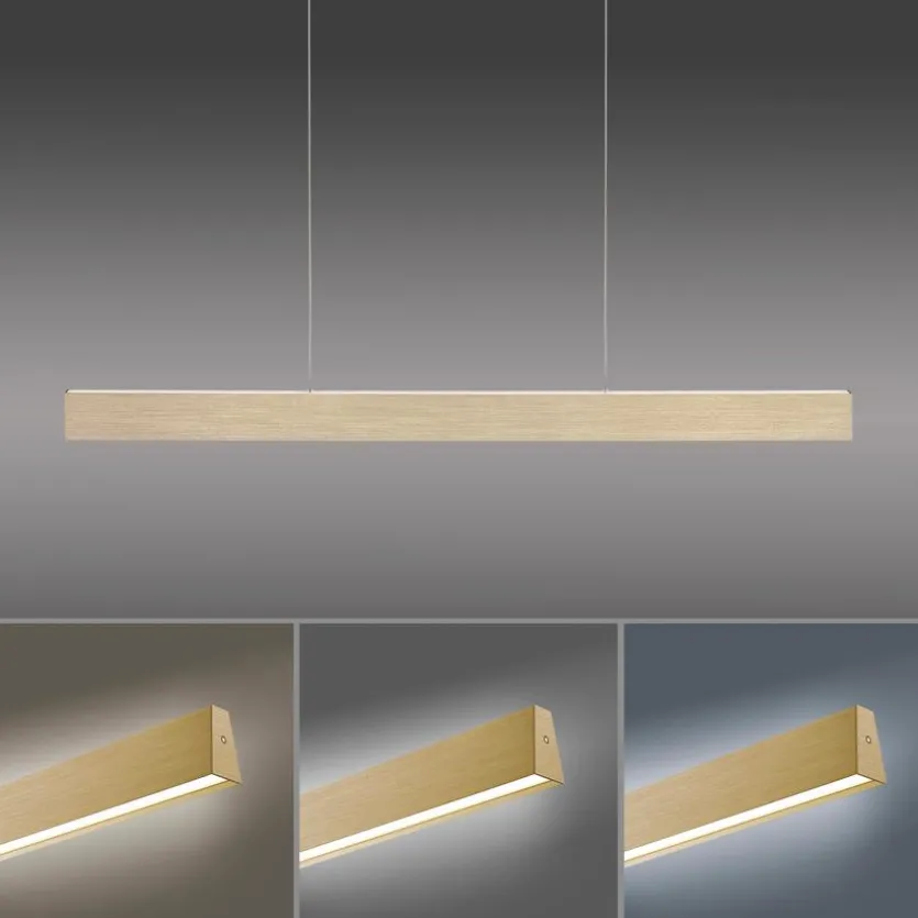 LED-Pendelleuchte Pure-Motion
