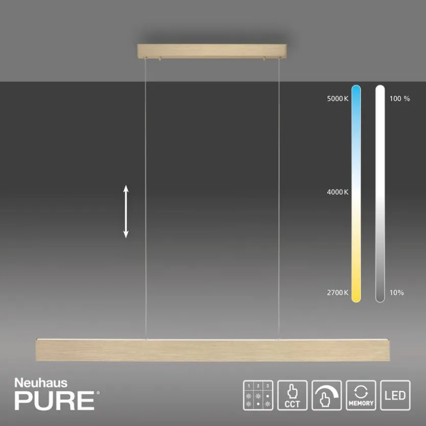LED-Pendelleuchte Pure-Motion