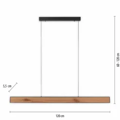 LED-Pendelleuchte Pure-Motion