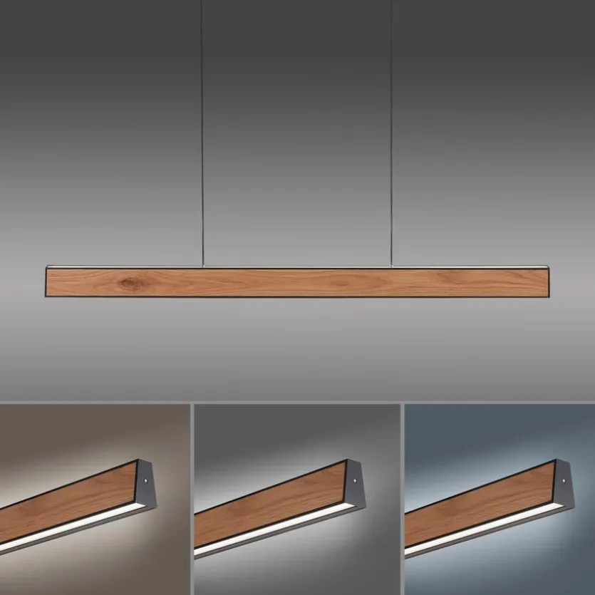 LED-Pendelleuchte Pure-Motion
