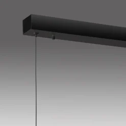 LED-Pendelleuchte Pure-Motion