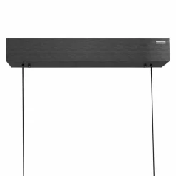 LED-Pendelleuchte Pure Moto-Rise