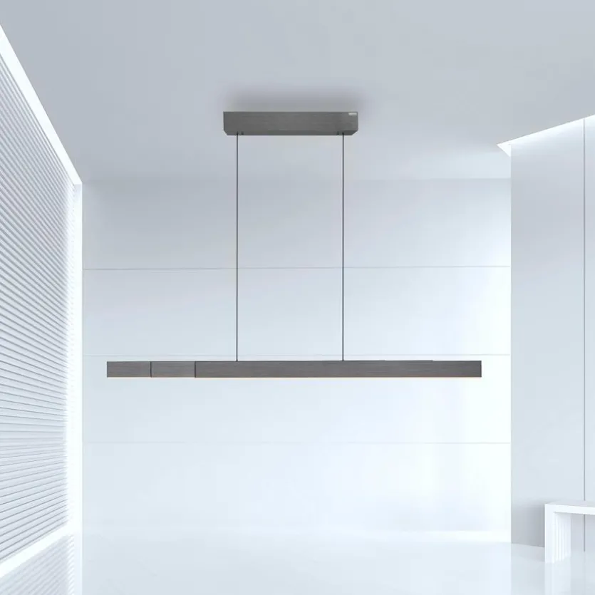 LED-Pendelleuchte Pure-Moto-Rise