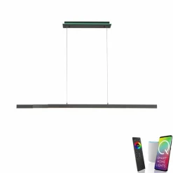 LED-Pendelleuchte Q-Arian