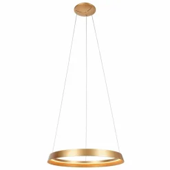 LED-Pendelleuchte Ringlux