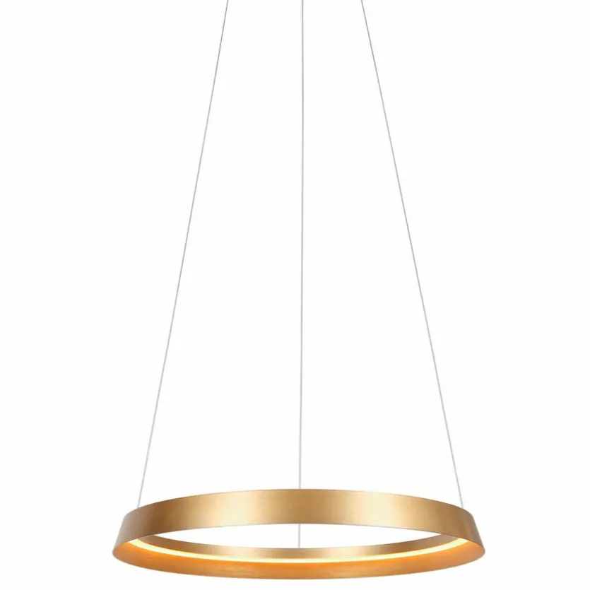 LED-Pendelleuchte Ringlux