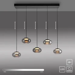 LED-Pendelleuchte Sia