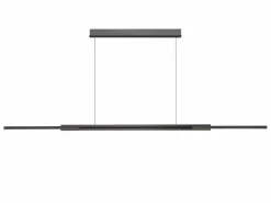 LED-Pendelleuchte Whippy