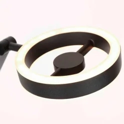 LED-Stehlampe Ringlux