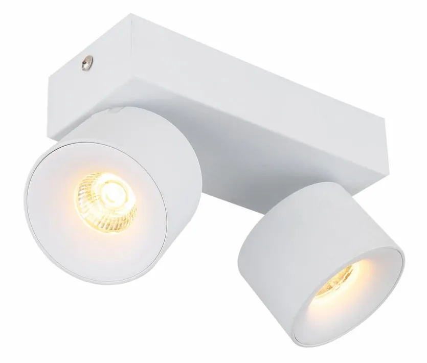LED-Strahler Rae