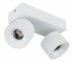 LED-Strahler Rae
