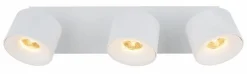 LED-Strahler Rae