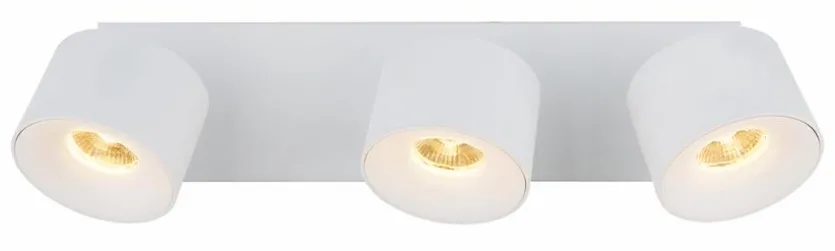 LED-Strahler Rae