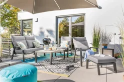 Loungesessel Deluxe Lounge Alu