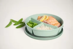 Lunchbox Bento Bowl Cirqula