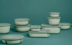 Lunchbox Bento Bowl Cirqula