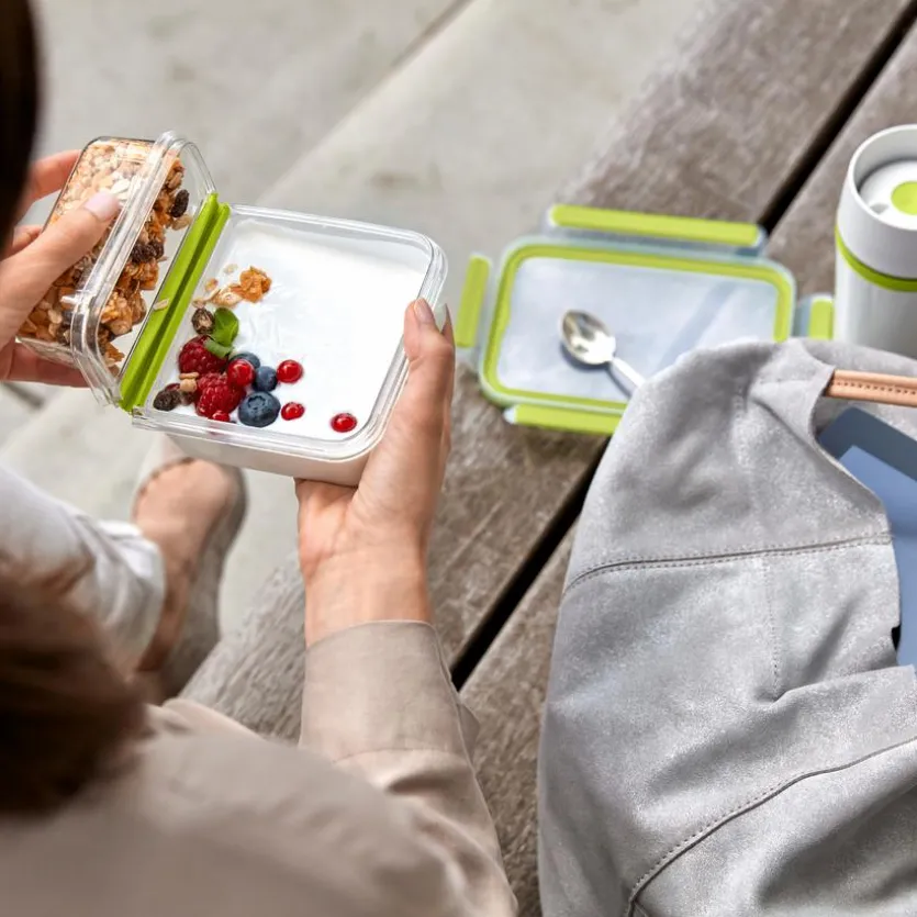 Lunchbox Clip&Go 600 ml
