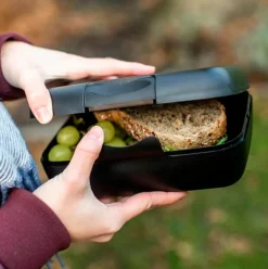 Lunchbox Pascal L