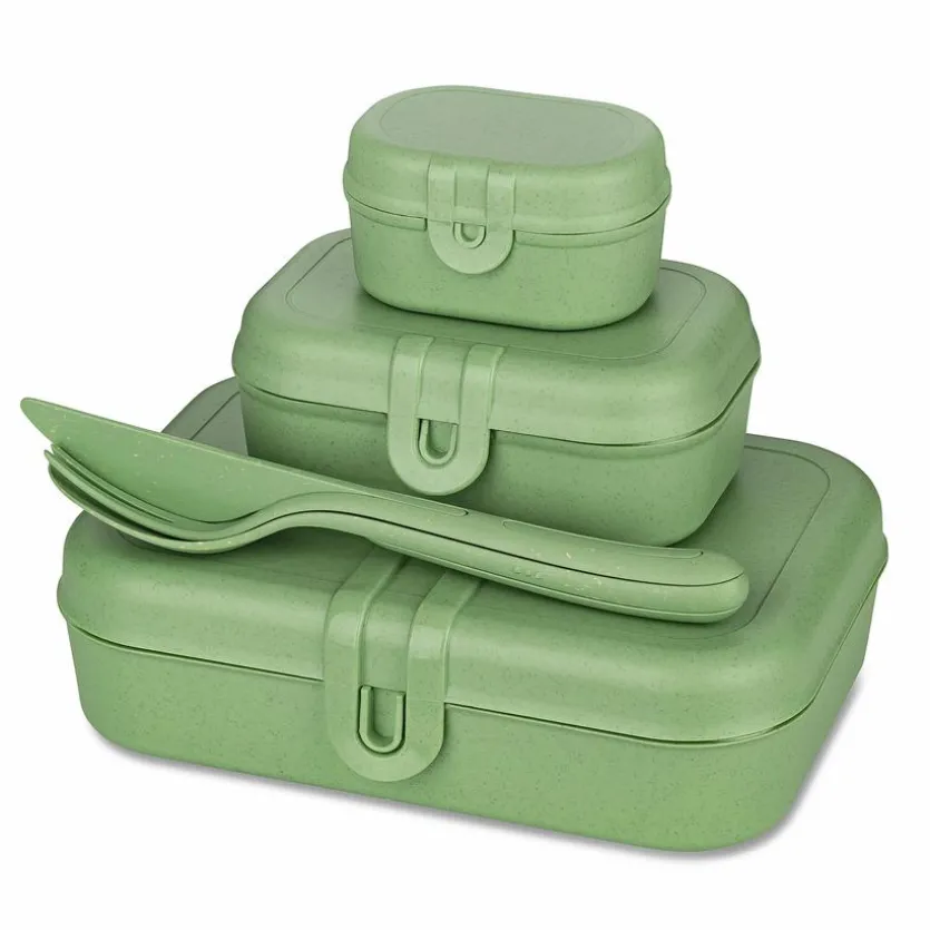 Lunchbox Pascal Ready 4tlg