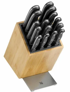 Messerblock Spitzenklasse Plus 6tlg.