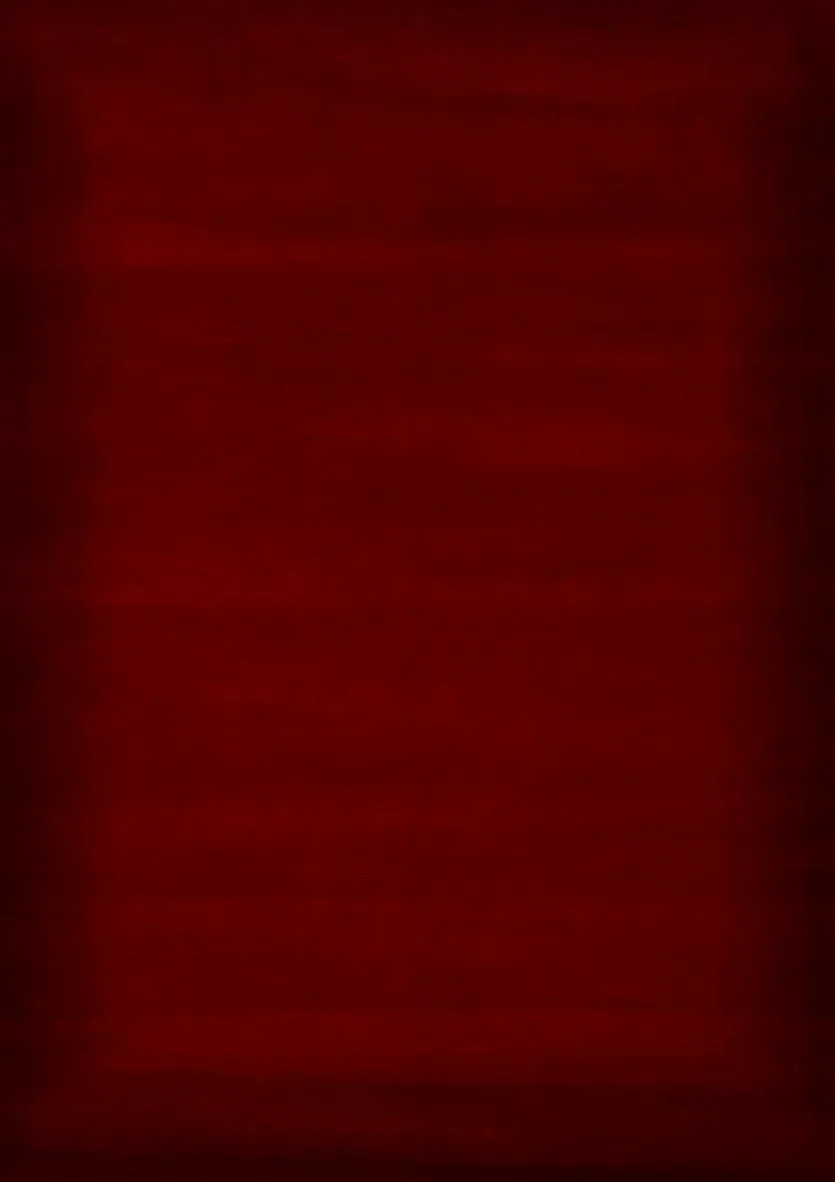 Nepalteppich Prestige New 120 x 180 cm