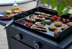 Plancha Wagen Modern Plancha Wagen 60