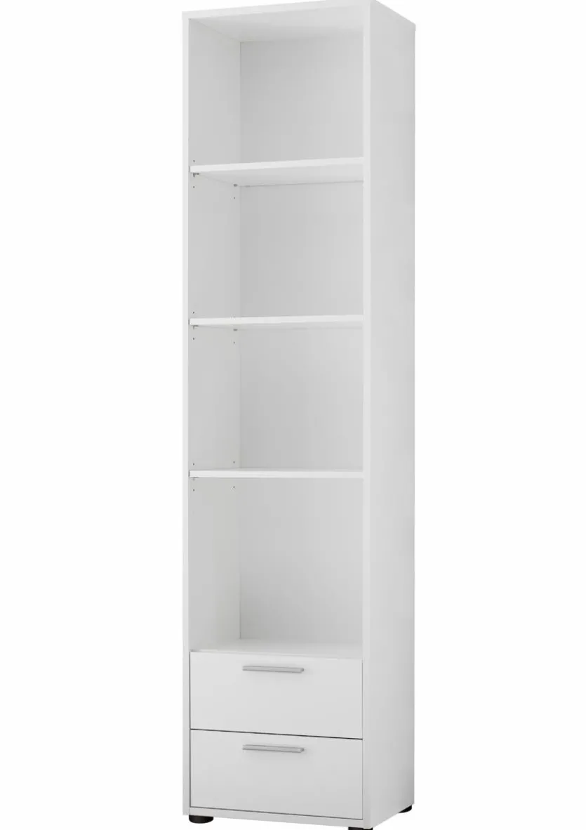 Regal Bibo