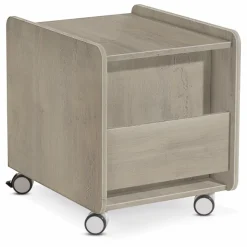Rollcontainer Paidi
