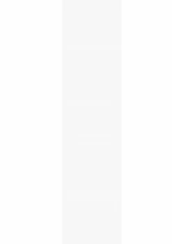 Schiebewand Rom 60 x 260 cm