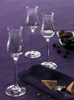 Schnapsglas Chateau 90 ml