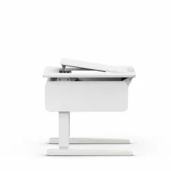 Schreibtisch e-Champion