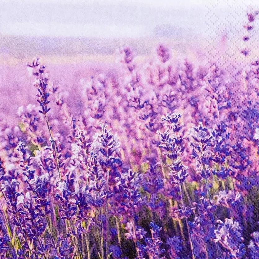 Serviette Field of Lavender 20tlg.