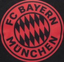 Sitzball FCB