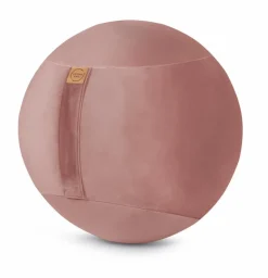 Sitzball Samt Uni