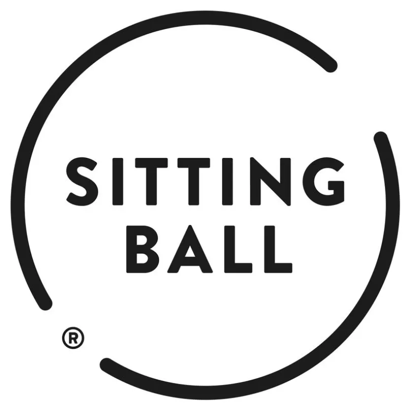 Sitzball Samt Uni