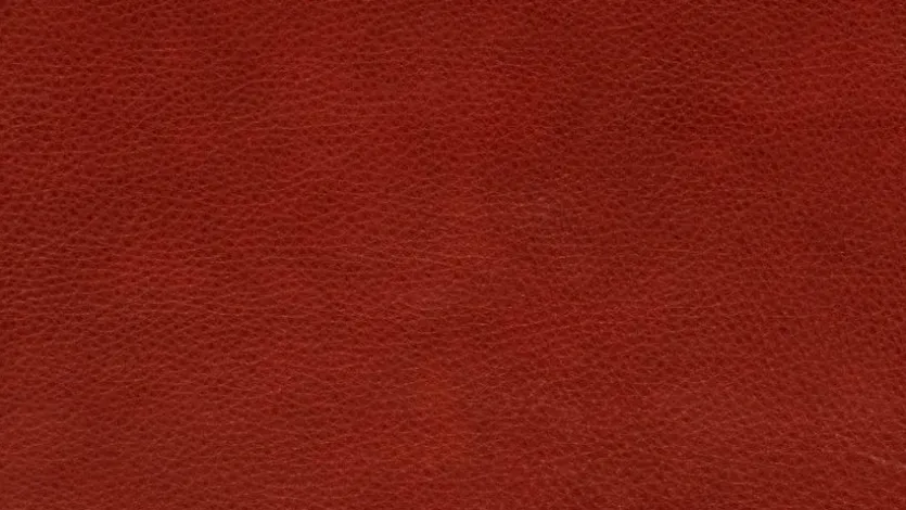 Sofa Experio - Free Motion