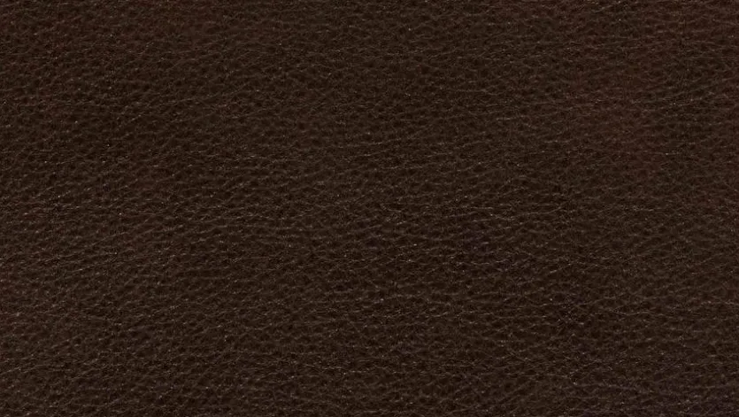 Sofa Experio - Free Motion
