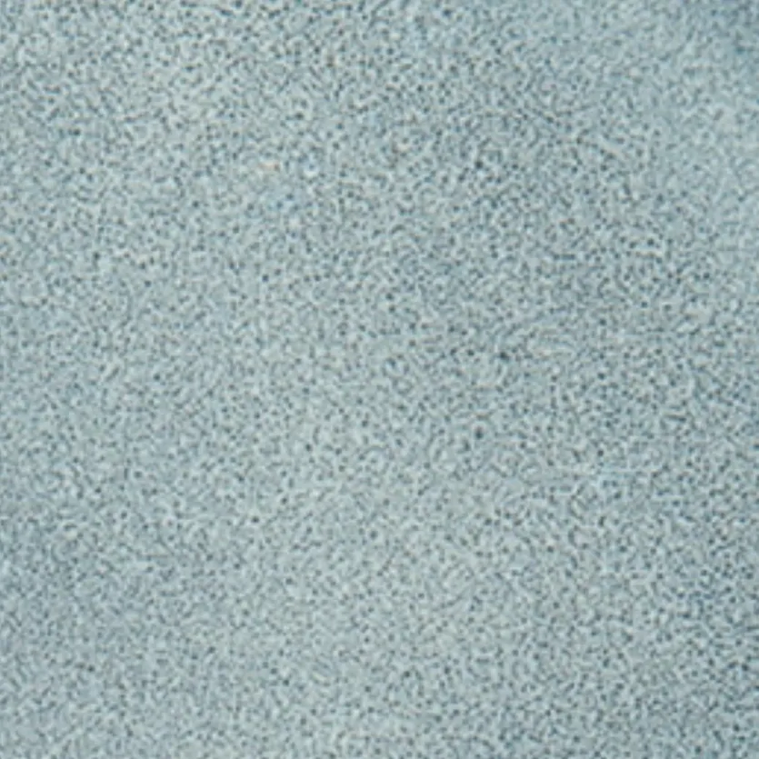 Speiseteller Saisons Ø 26,5 cm