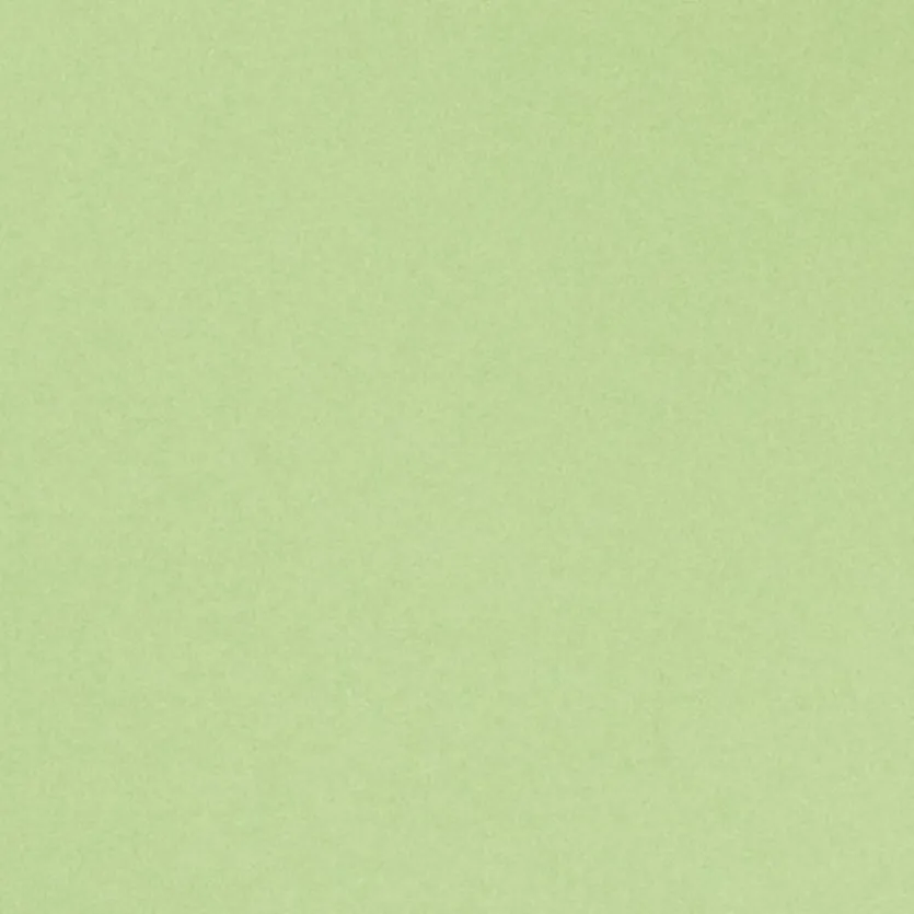 Speiseteller Basic Ø 26,8 cm