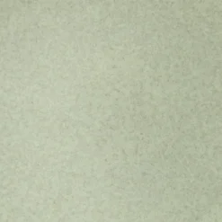 Speiseteller Perlemor Alga Ø 27,1 cm