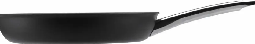 Stielpfanne Steak Profi Ø 28 cm