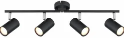Strahler Allvi