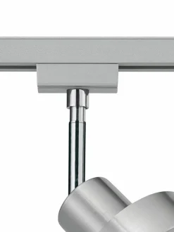 Strahler Leon