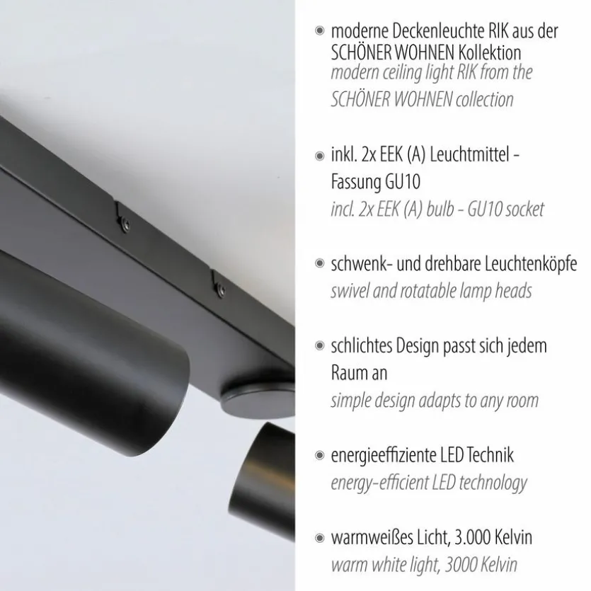 Strahler Rik