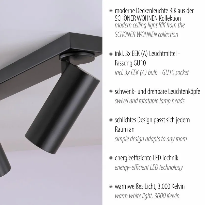 Strahler Rik
