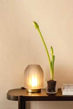 Tischleuchte LED 23,9 cm