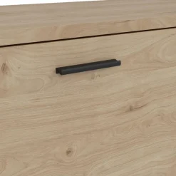 TV-Lowboard Media