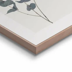 Wandbild 40 x 50 cm Eucalyptus