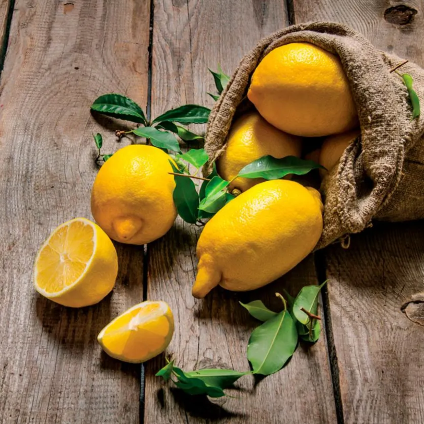 Wandbild 30 x 30 cm Fresh Lemon V